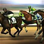 virtual horse racing bet
